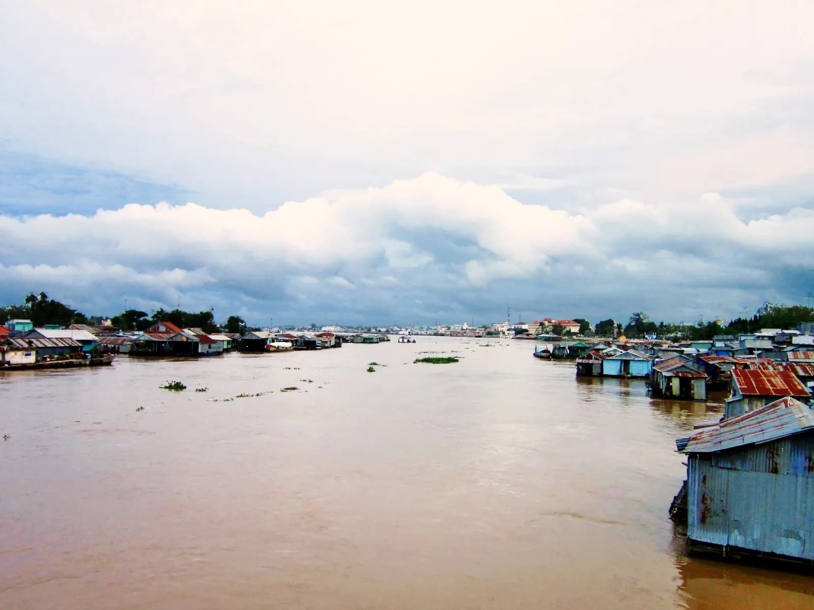 Xuất khẩu cá tra 8 tháng 2026 đạt 1,5 tỷ USD: Trung Quốc tăng mạnh, Mỹ giảm